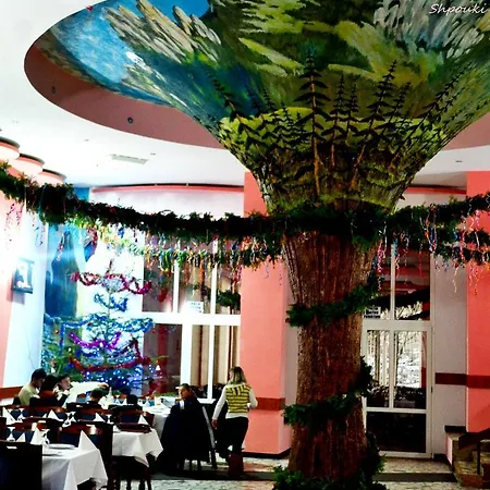 Bradul Hotel 3*