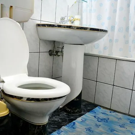 Hotel Bradul Durau